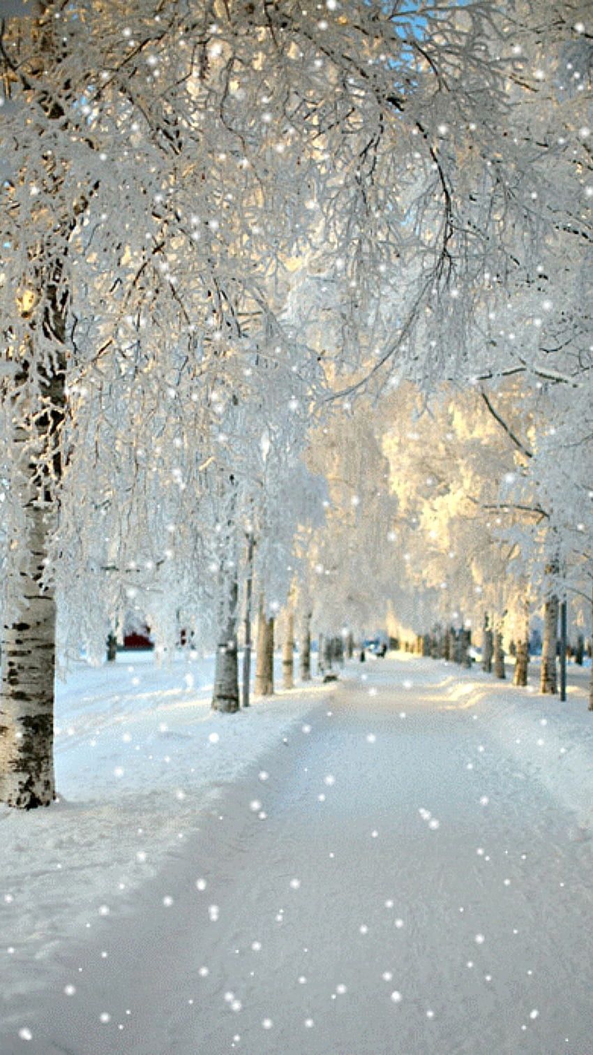 Allee, Schneefall, Sonnenlicht, Park, Hochformat, HD, Sperrbildschirm fürs iPhone