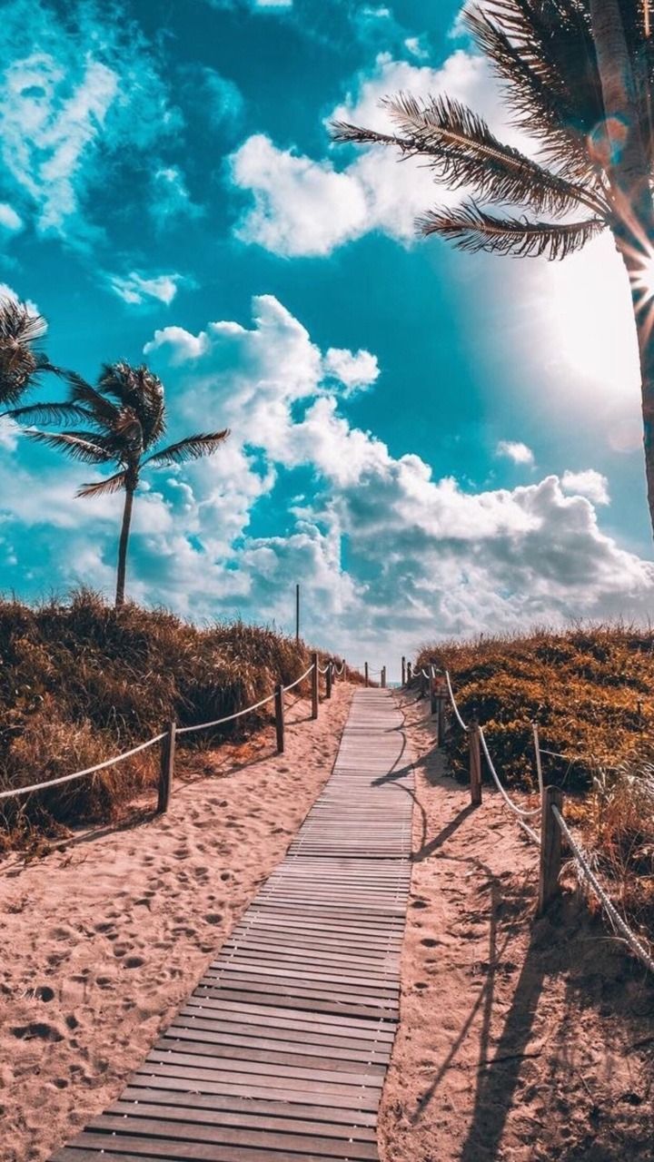 Holzsteg, Dünen, Palmen, Blauer Himmel, Wolken, HD, Sperrbildschirm fürs iPhone