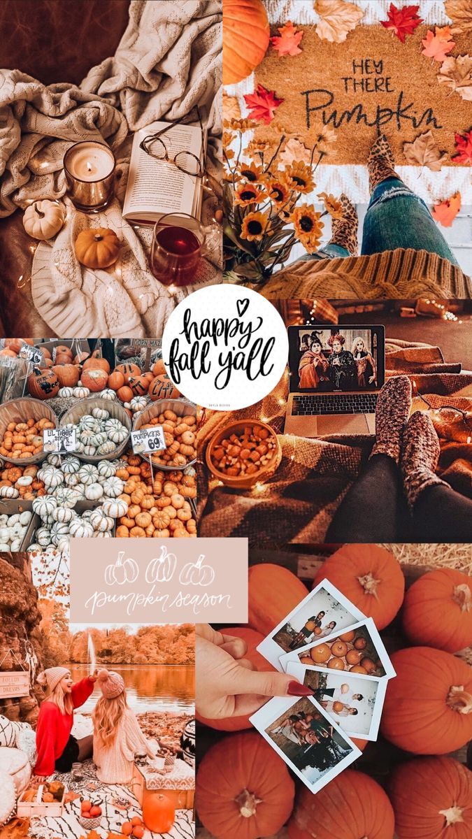 Collage, Happy Fall Y'all, Kürbisse, Ästhetik, Gemütlich, Sperrbildschirm fürs iPhone