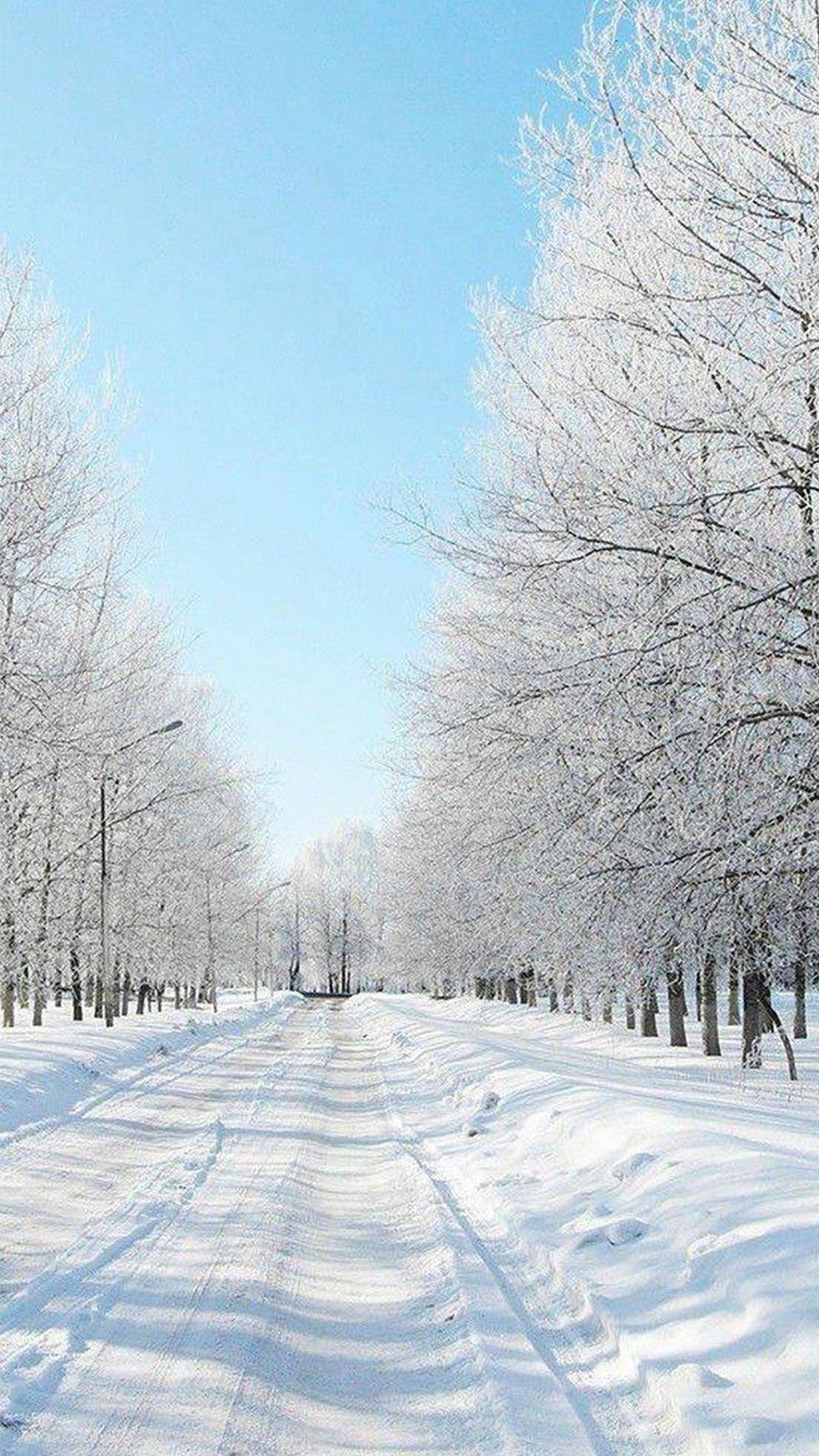 Allee, Raureif, Verschneiter Weg, Blauer Himmel, Hochformat, Full HD, Handy-Hintergrund