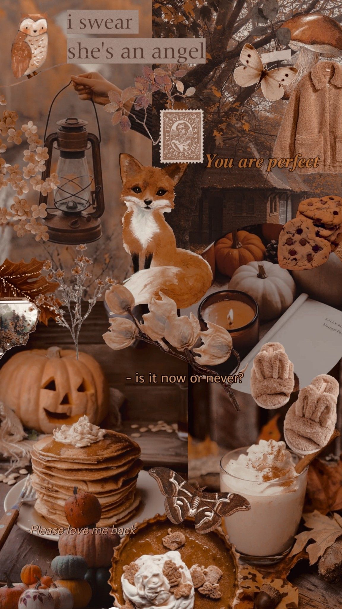Collage, Pfannkuchen, Fuchs, Kürbis, Gemütlich, Full HD, Hintergrundbild fürs Handy