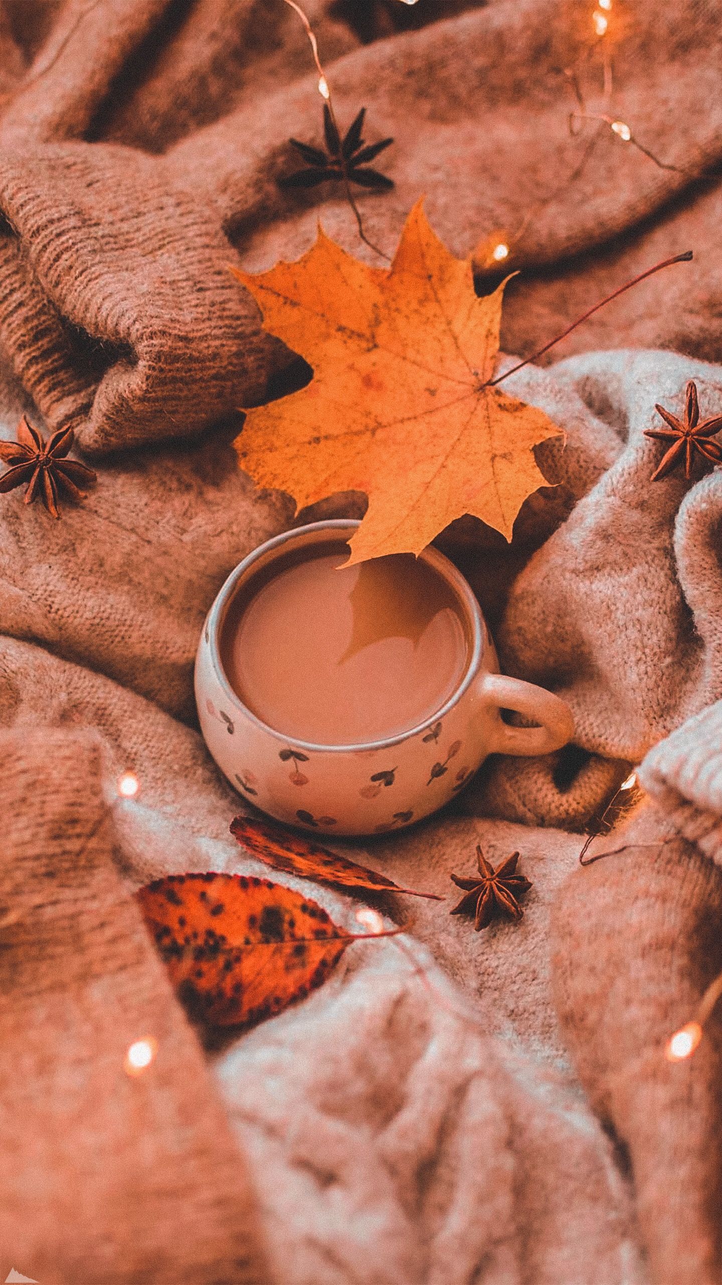 Tasse, Ahornblatt, Strickpullover, Gemütlich, Kakao, QHD+, Handy-Hintergrund im Hochformat