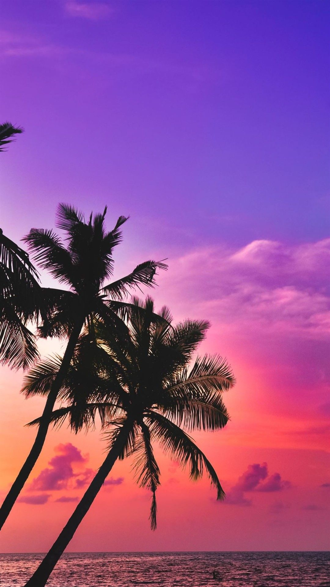 Palmen, Sonnenuntergang, Lila Himmel, Silhouette, Strand, Full HD, Handy-Hintergrundbild