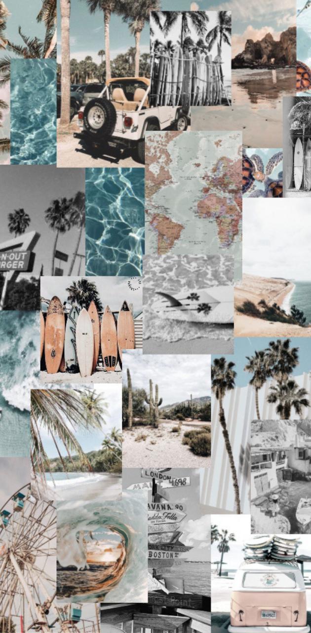 Collage, Schwarz-Weiß, Strand, Palmen, Ästhetik, Hintergrundbild für iPhone und Android