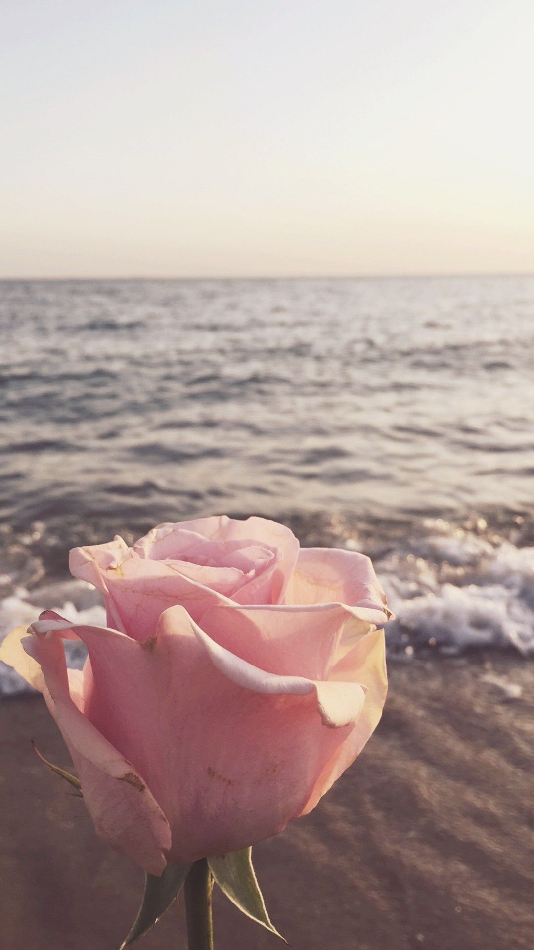 Rose, Meer, Wellen, Pastellfarben, Strand, Full HD, Sperrbildschirm fürs iPhone