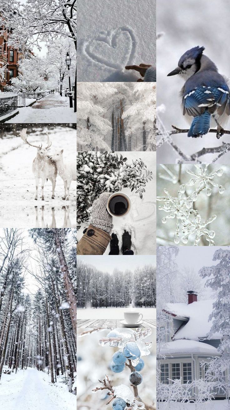 Collage, Blauhäher, Herz im Schnee, Weiß, Hochformat, HD, Sperrbildschirm fürs iPhone