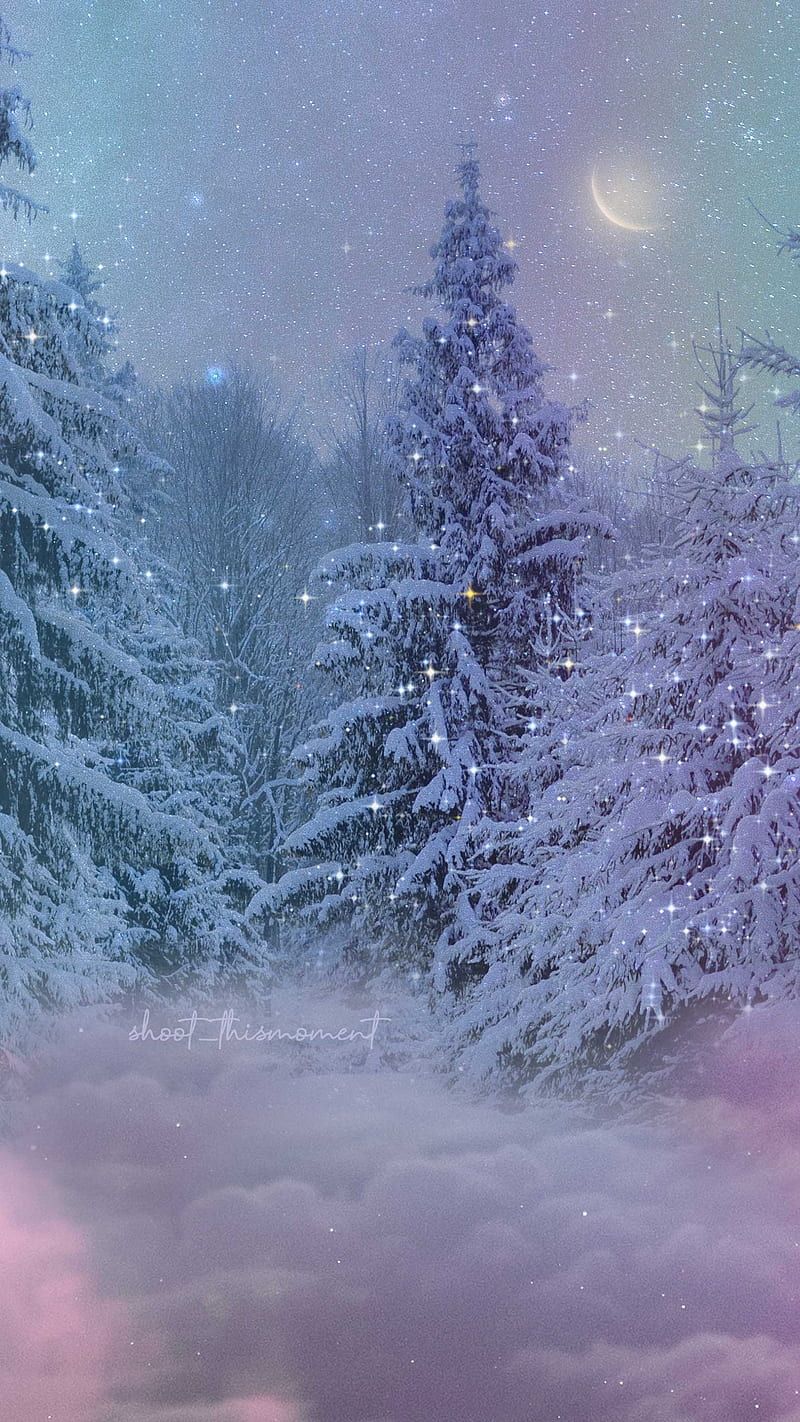 Verschneite Tannen, Nebel, Lila, Mystisch, Hochformat, Hintergrundbild für iPhone und Android