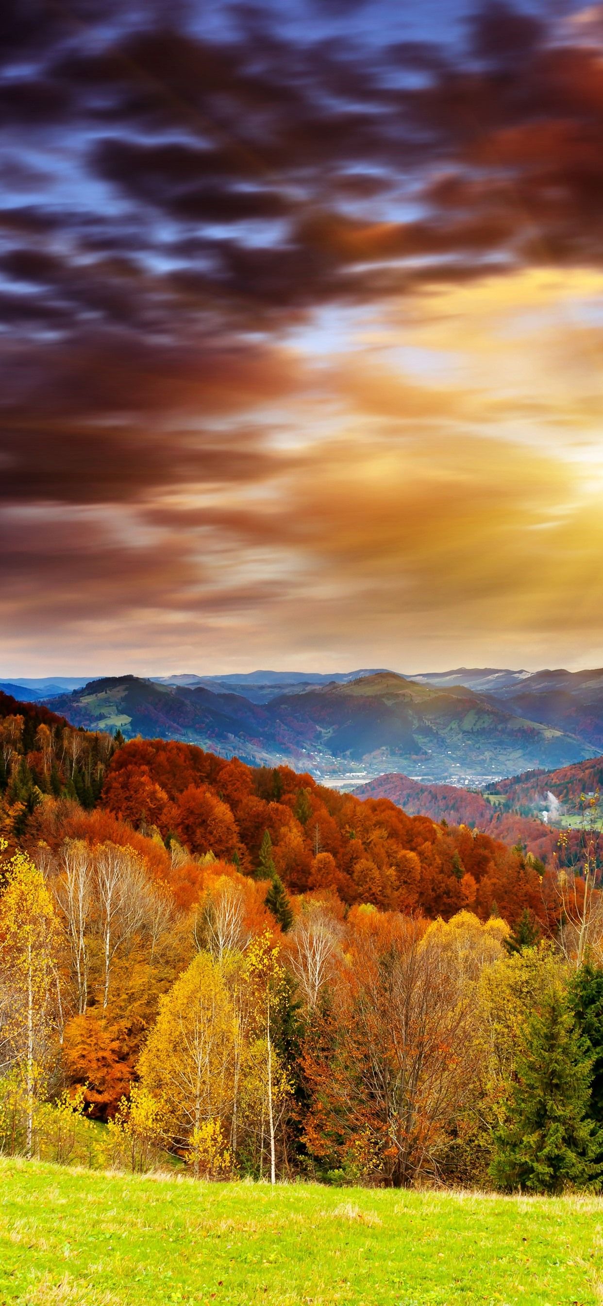 Herbstlandschaft, Hügel, Wolken, Bunte Bäume, Wiese, Full HD, Handy-Hintergrund im Hochformat