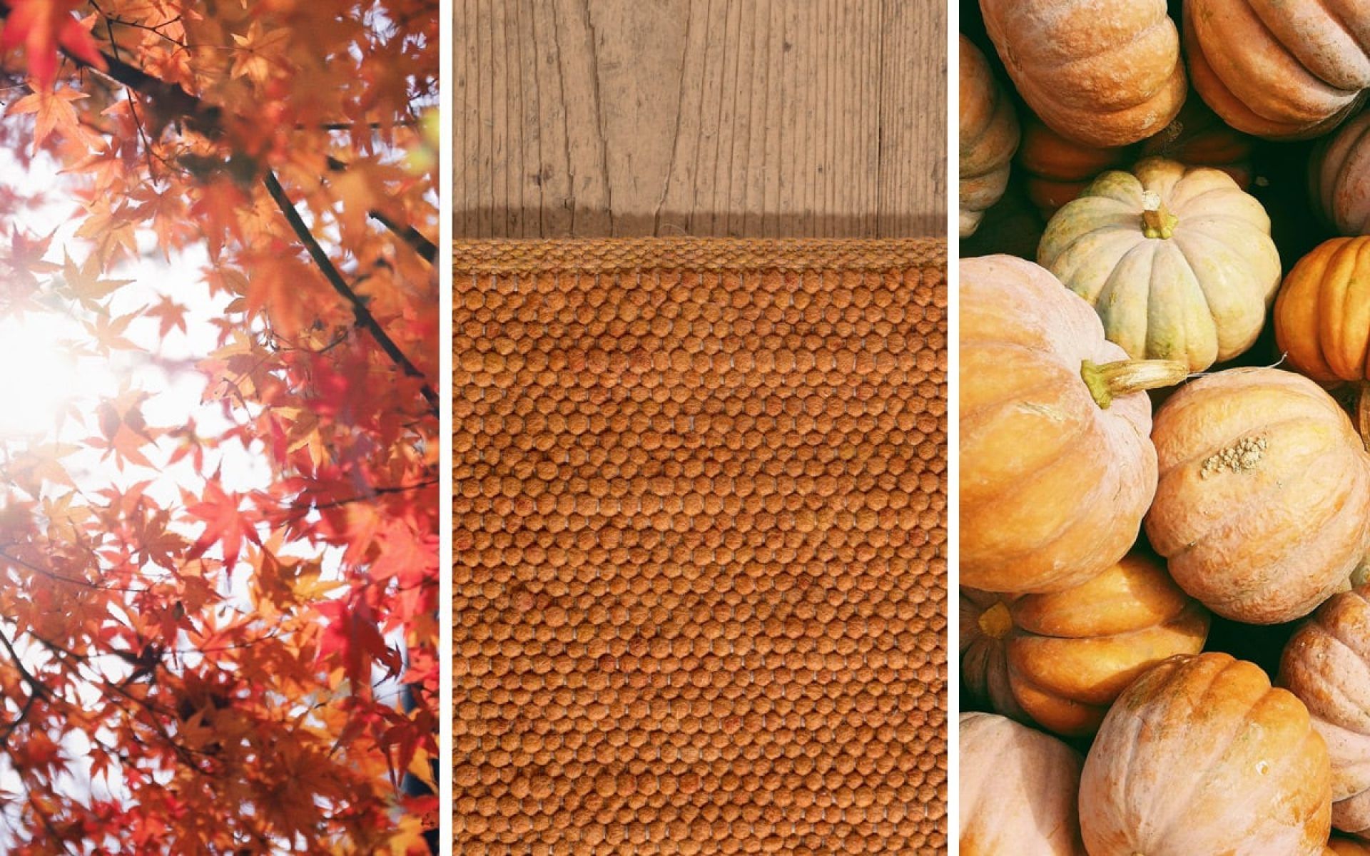 Triptychon, Kürbisse, Holz, Herbstblätter, Erdtöne, 16:10, Full-HD-Hintergrundbild für den Desktop
