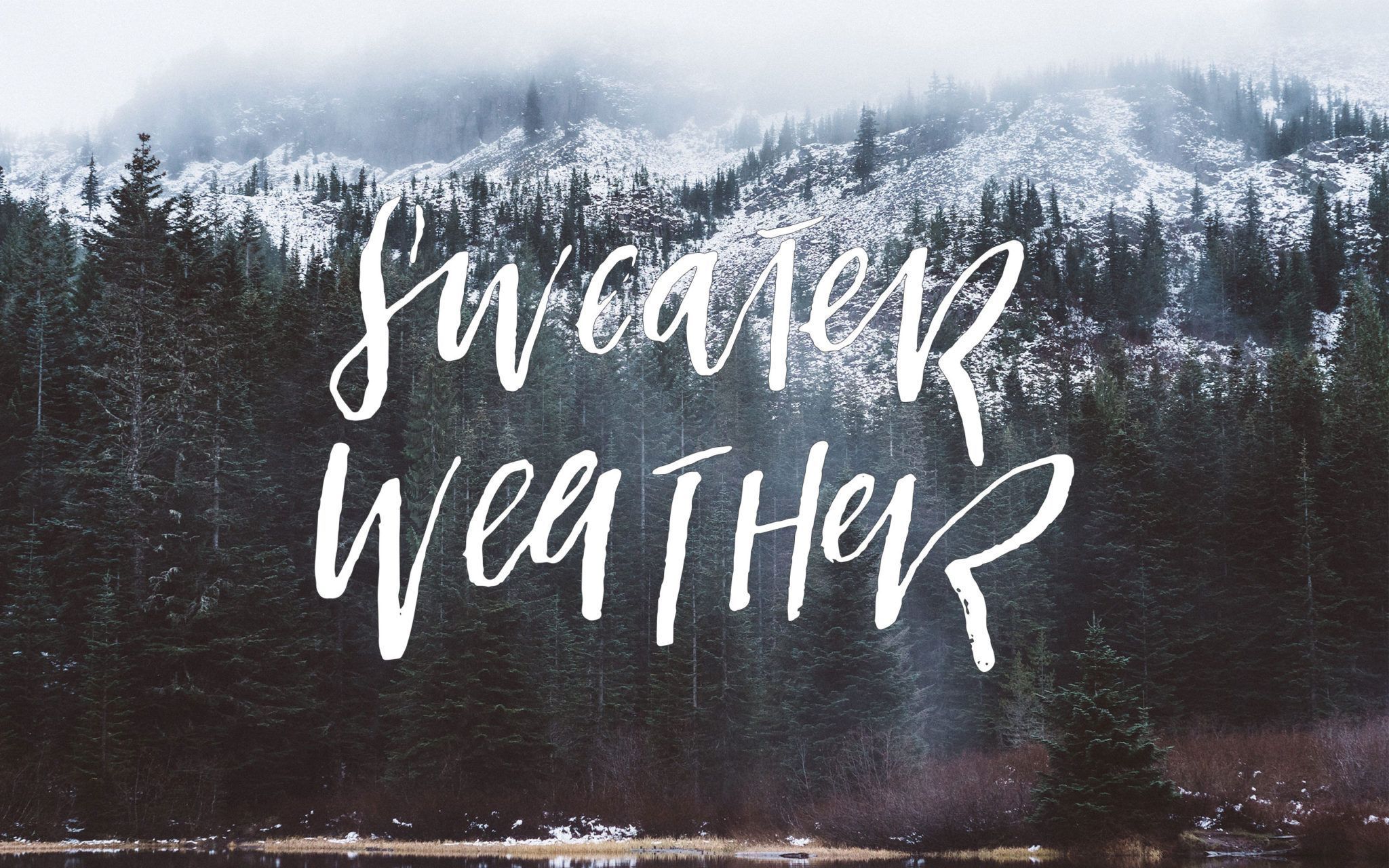 Sweater Weather, Spruch, Wald, Berge, Nebel, 16:10, Full-HD-Hintergrundbild für den Desktop