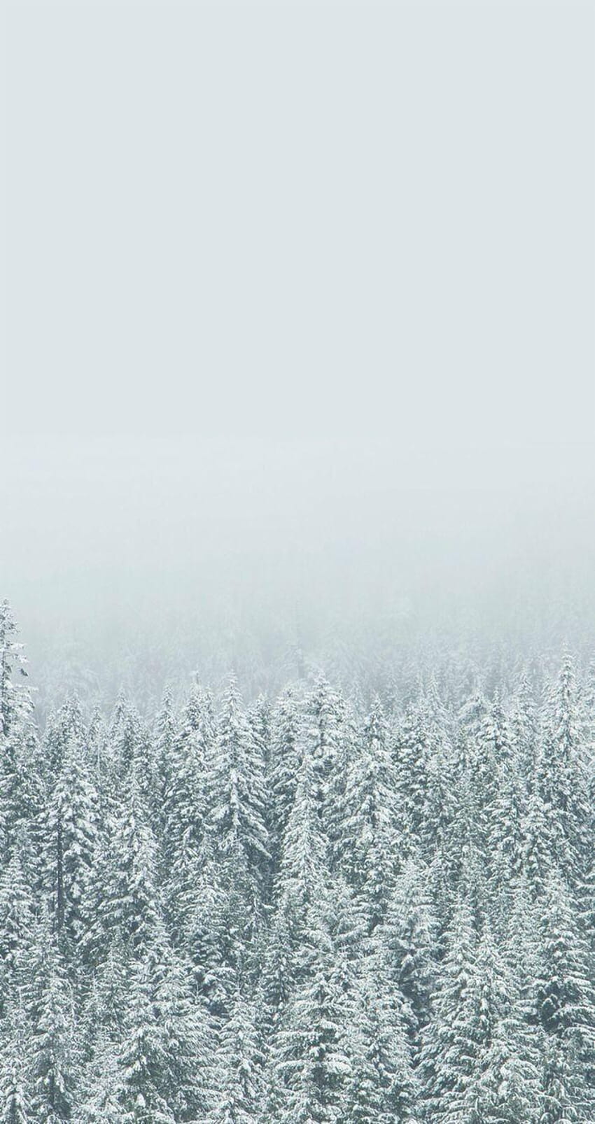 Nebel, Tannenwald, Minimalistisch, Weiß, Hochformat, Hintergrundbild für iPhone und Android