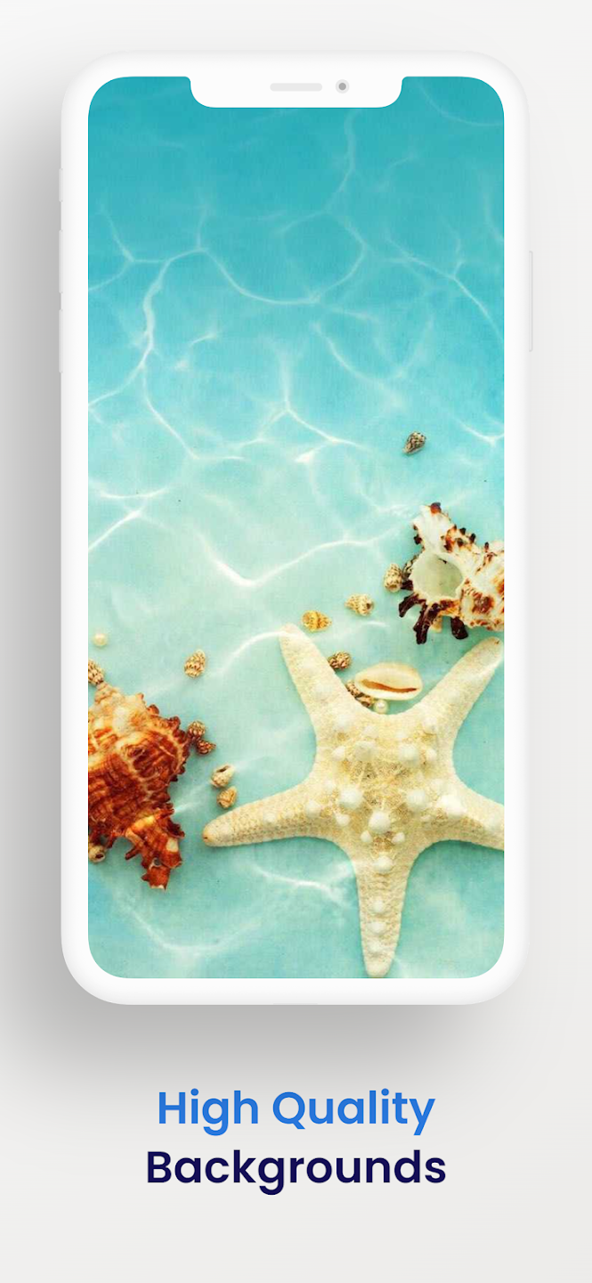 Seestern, Muscheln, Türkises Wasser, Handy-Mockup, Hochformat, Hintergrundbild fürs Smartphone