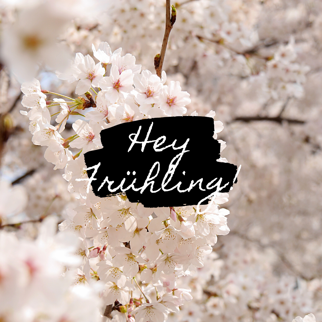 Hey Frühling, Kirschblüte, Weiße Blüten, Schriftzug, Frühlingsgruß, Hintergrundbild fürs Tablet