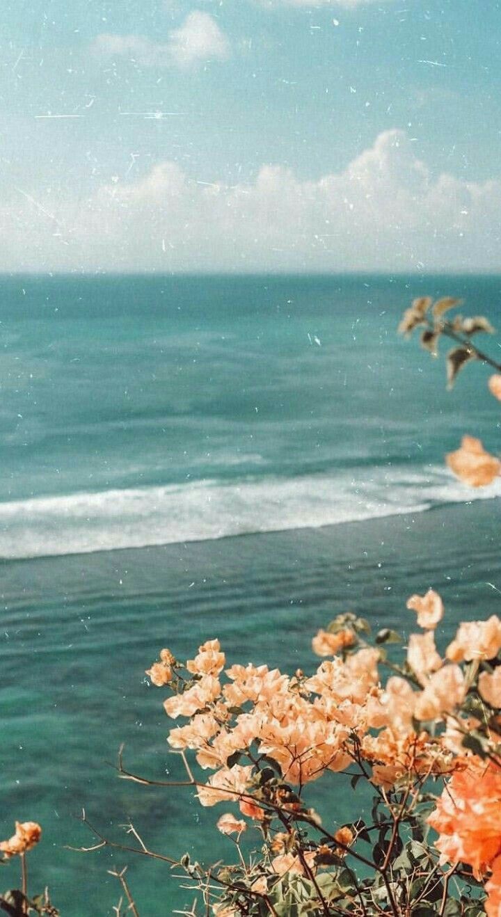 Meer, Küste, Blühender Strauch, Wellen, Vintage-Look, HD, Handy-Hintergrund im Hochformat