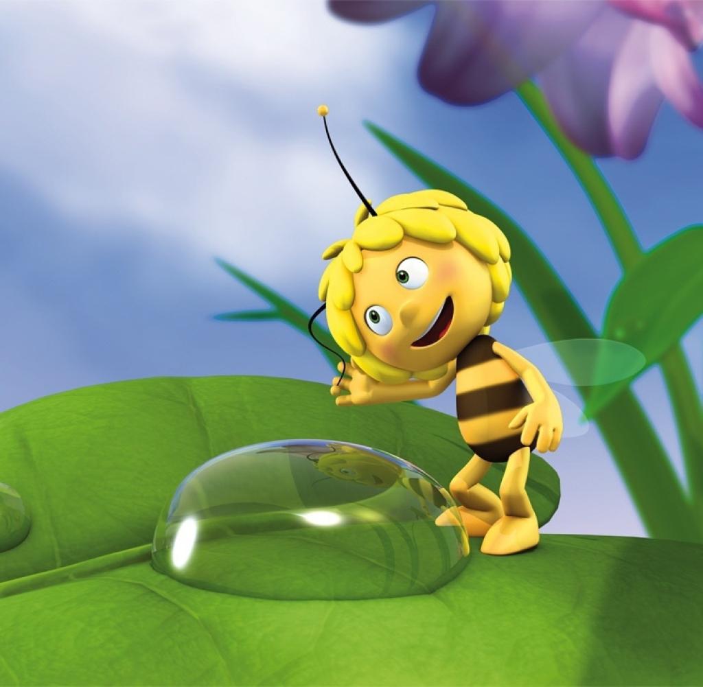 Biene Maja, Blatt, Wassertropfen, Lila Blüten, Hintergrundbild für iPad und Tablet
