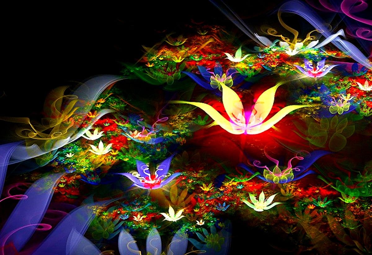 Fraktale Blumen, Leuchtende Blüten, Fantasy, Bunt, Schwarzer Hintergrund, Wallpaper