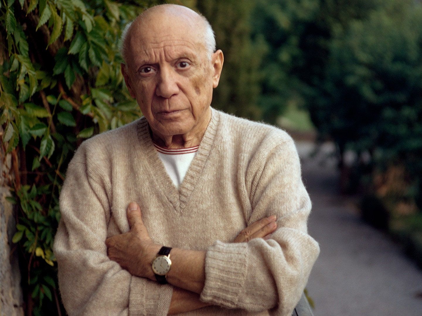 Pablo Picasso, Künstler, Porträt, Pullover, Garten, HD, Hintergrundbild fürs Tablet