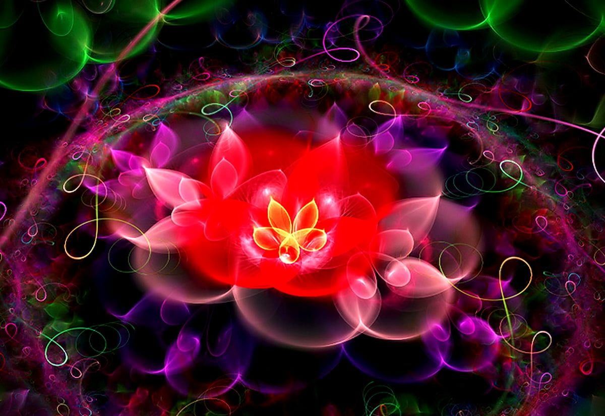 Lotusblüte, Fraktal, Rot, Leuchtend, Fantasy, Hintergrundbild