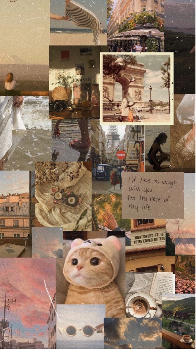Collage, Ästhetik, Beige, Vintage, Katze, Hintergrundbild für iPhone und Android