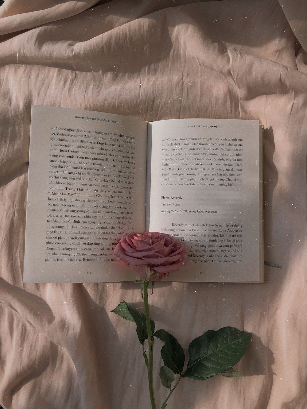 Offenes Buch, Rose, Bettlaken, Ästhetik, Rosa, Hintergrundbild für iPad und Tablet