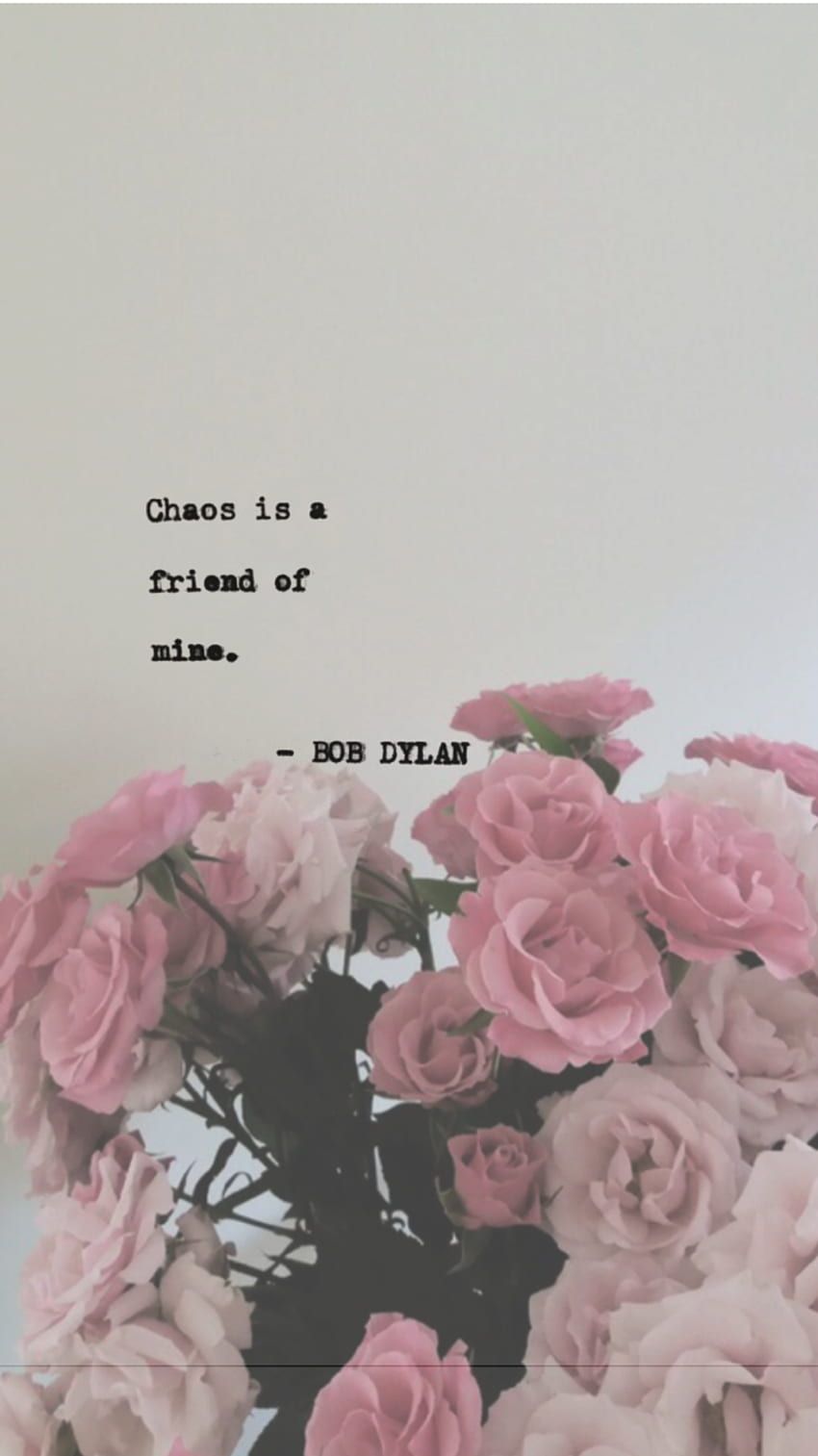 Bob Dylan, Chaos is a friend of mine, Zitat, Rosen, Grau, HD, Handy-Hintergrundbild