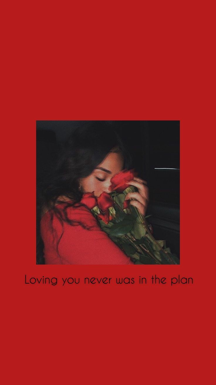 Rote Rosen, Frau, Roter Hintergrund, Spruch, Polaroid, HD, Sperrbildschirm fürs iPhone
