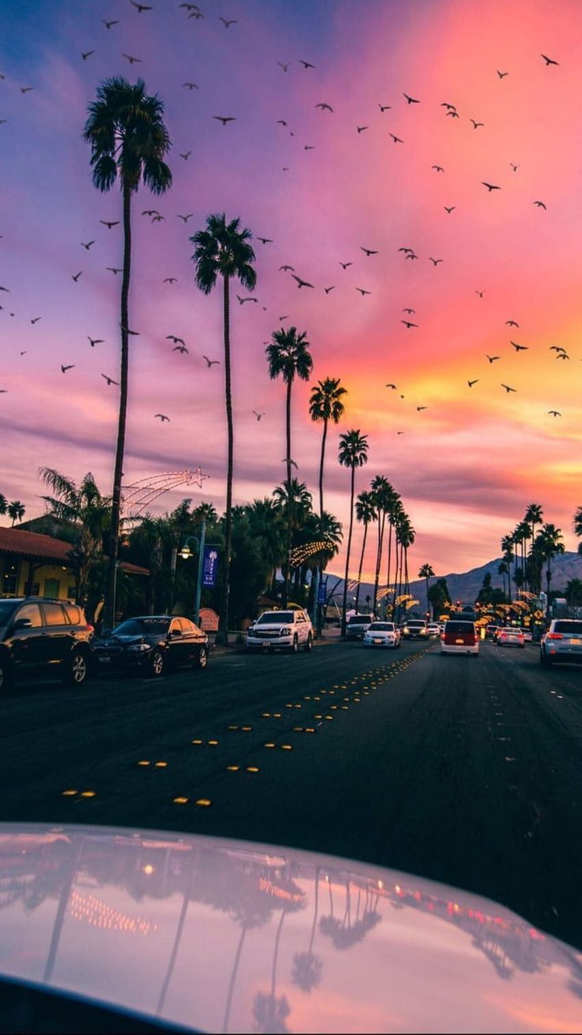 Palmen, Straße, Sonnenuntergang, Vogelschwarm, HD, Hintergrundbild fürs Handy