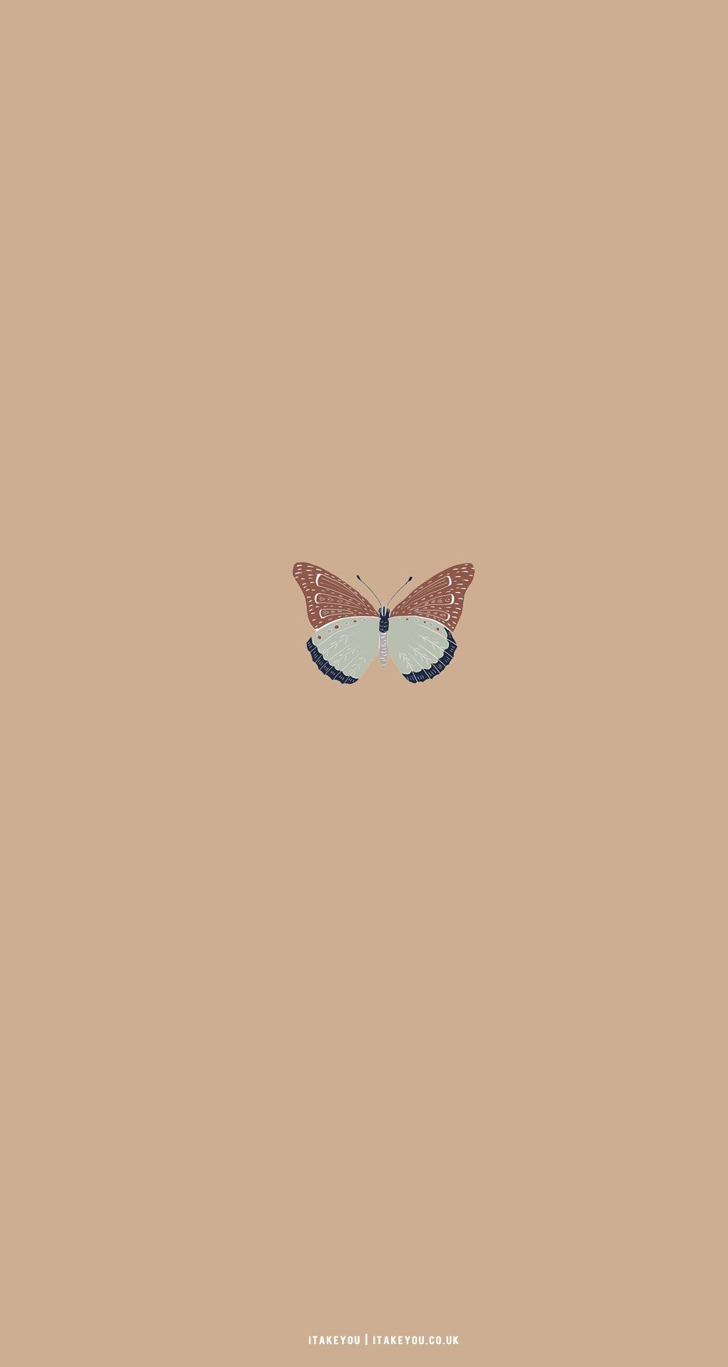 Schmetterling, Beige, Minimalistisch, HD, Hintergrundbild fürs Handy