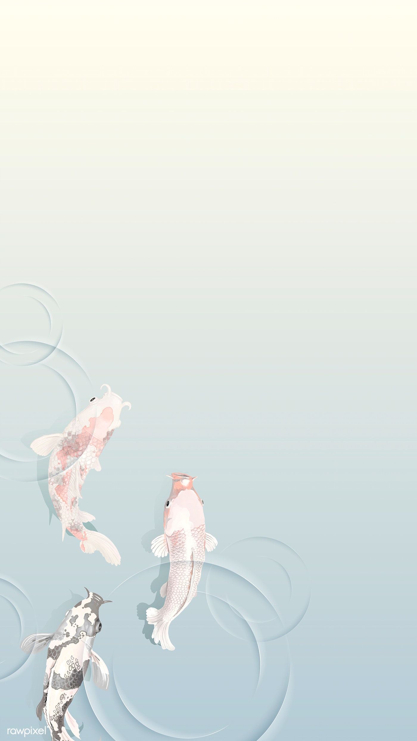 Koi, Wasserringe, Pastell, Minimalistisch, Hochformat, Full HD, Hintergrundbild fürs Handy