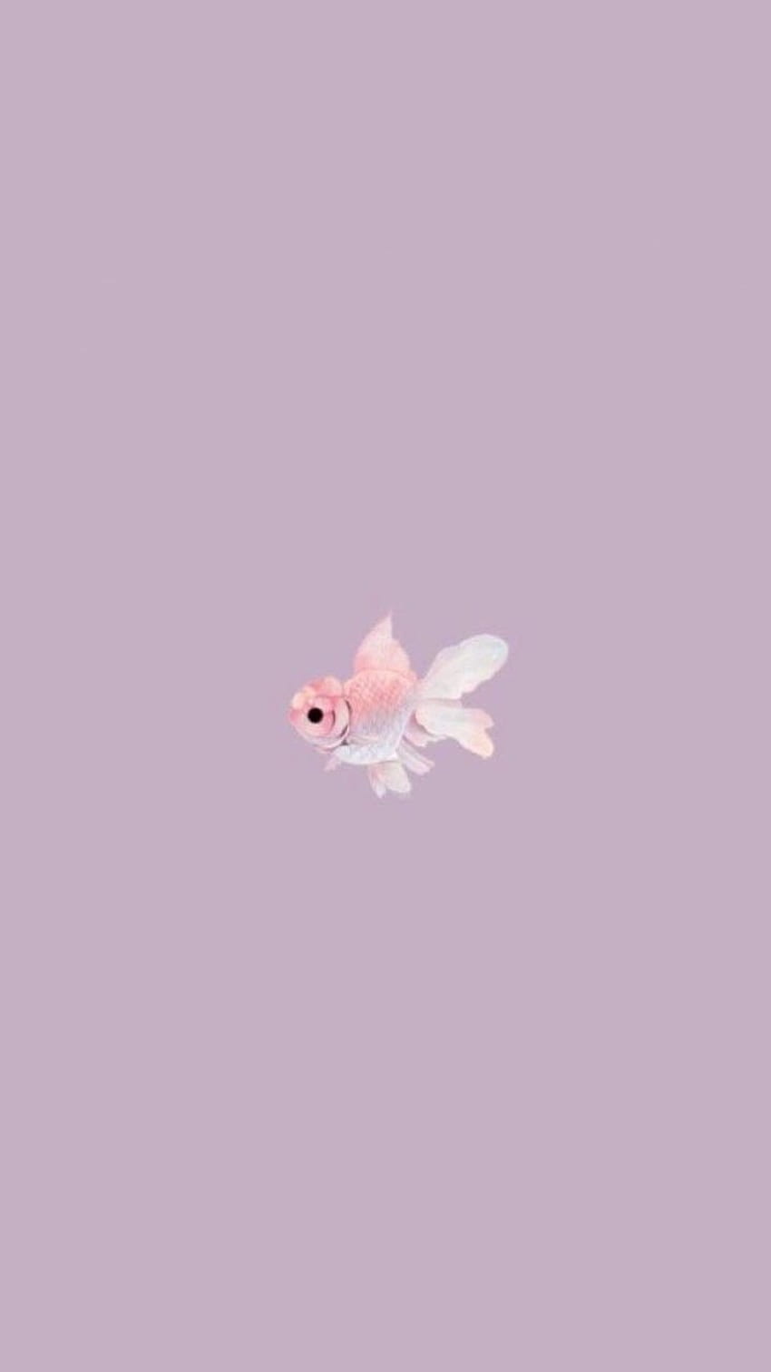 Goldfisch, Minimalistisch, Lila Hintergrund, Illustration, Sperrbildschirm fürs iPhone