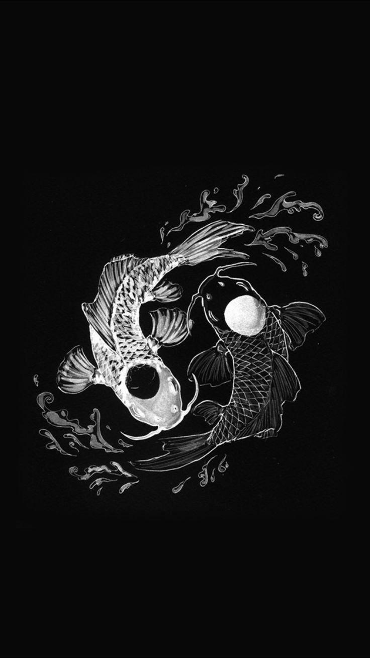 Koi, Yin und Yang, Strichzeichnung, Schwarz-Weiß, HD, Hintergrundbild fürs Handy