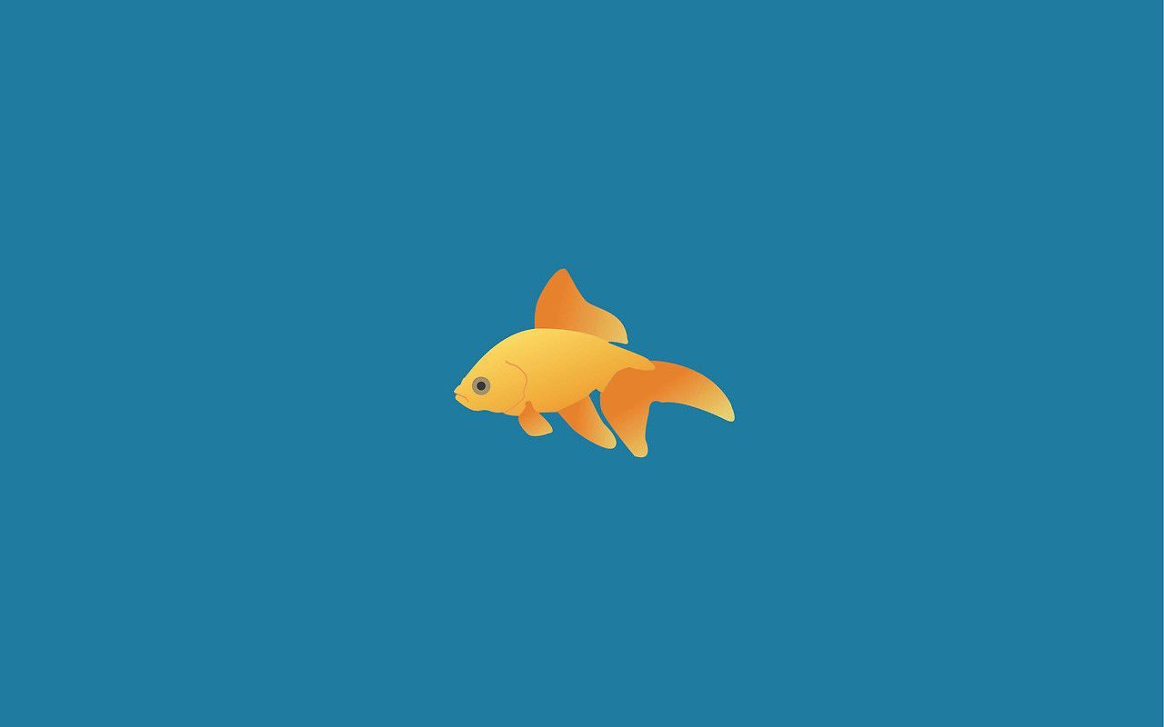 Goldfisch, Flaches Design, Blauer Hintergrund, Minimalistisch, HD Wallpaper