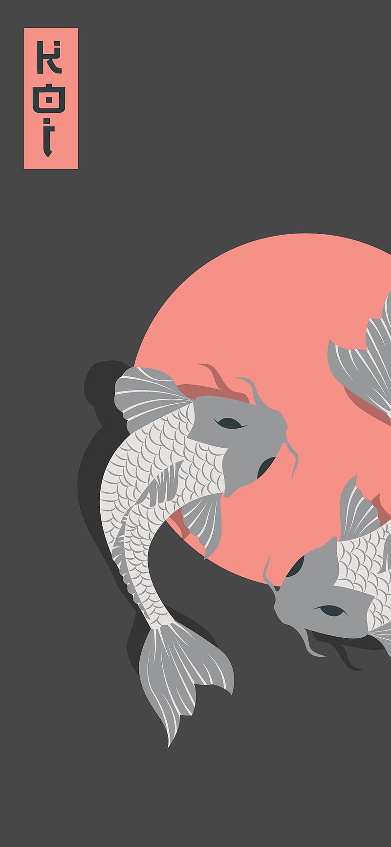 Koi, Japanischer Stil, Rote Sonne, Grauer Hintergrund, Illustration, Sperrbildschirm fürs iPhone
