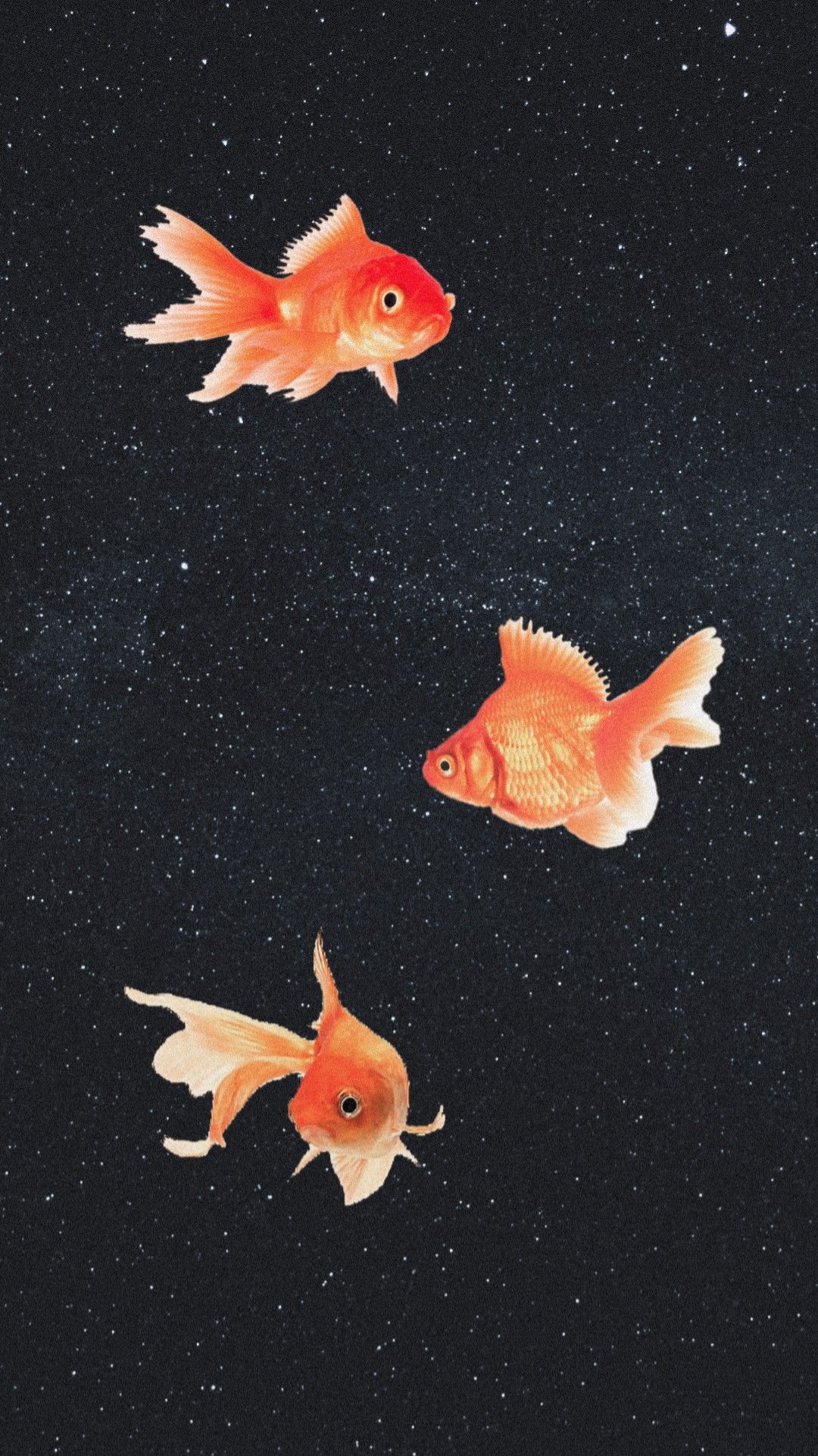 Goldfische, Sternenhimmel, Surreal, Dunkler Hintergrund, Sperrbildschirm fürs iPhone