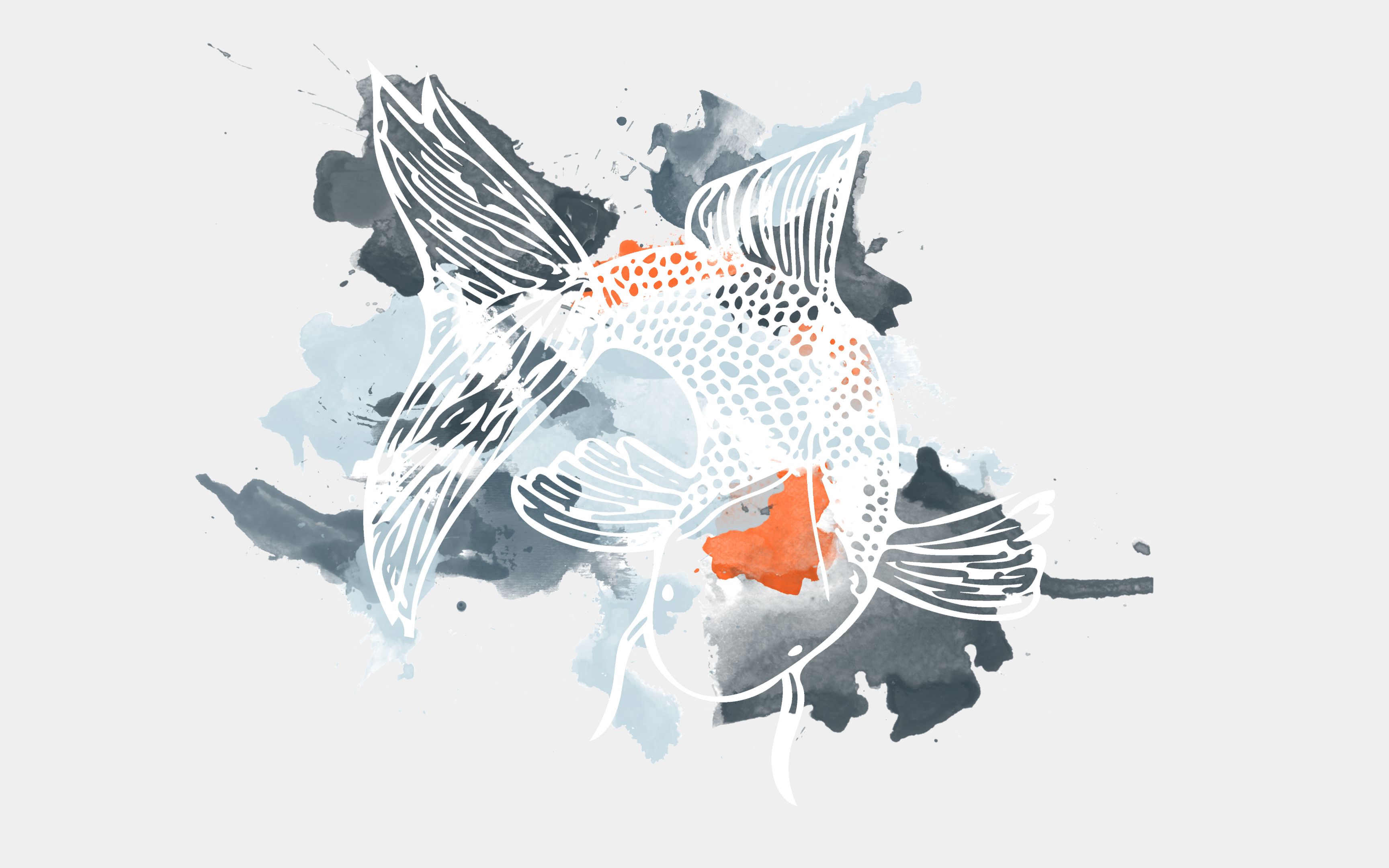 Koi, Tuschezeichnung, Abstrakt, Grauer Hintergrund, 2K Wallpaper