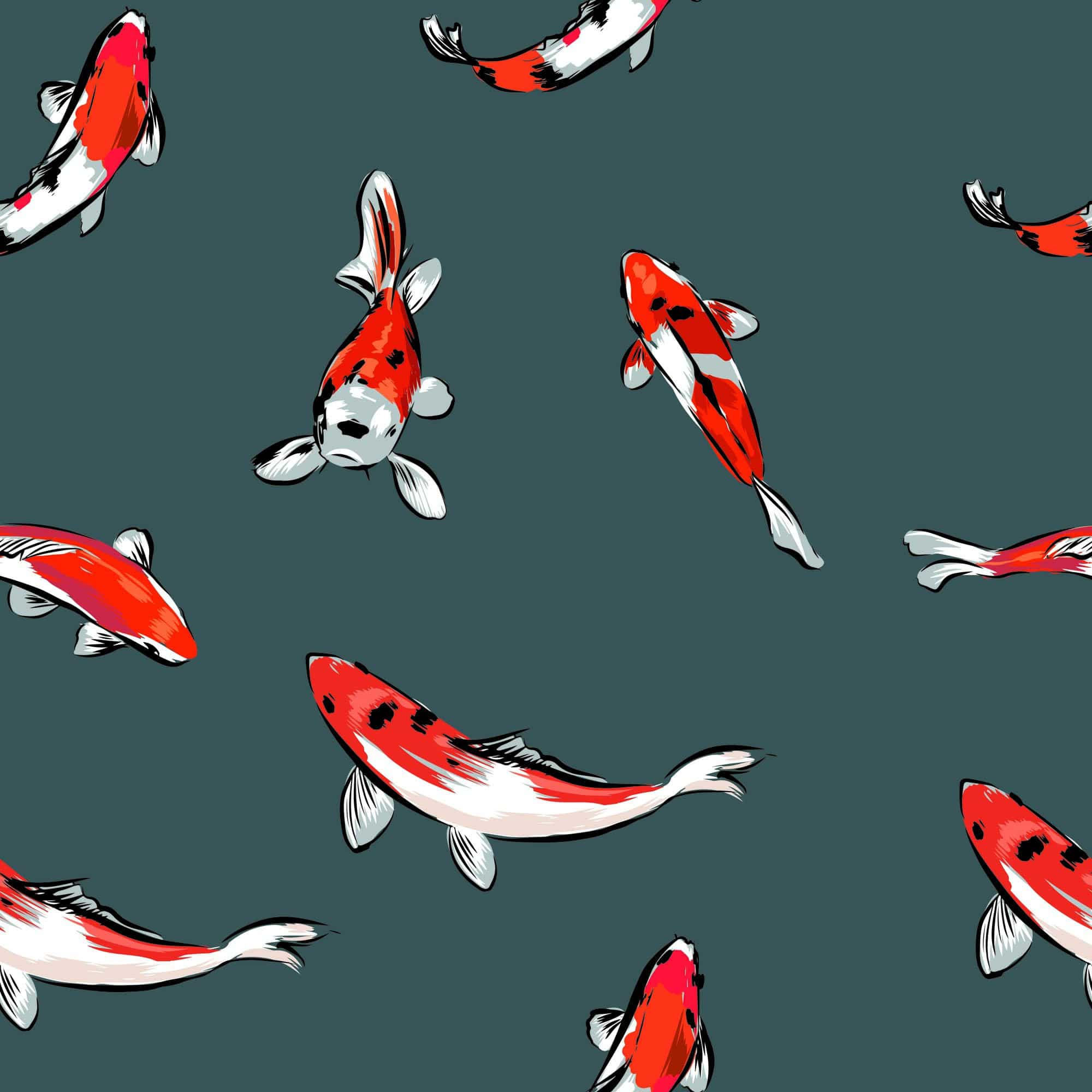 Koi, Muster, Illustration, Dunkelgrüner Hintergrund, Full HD Wallpaper
