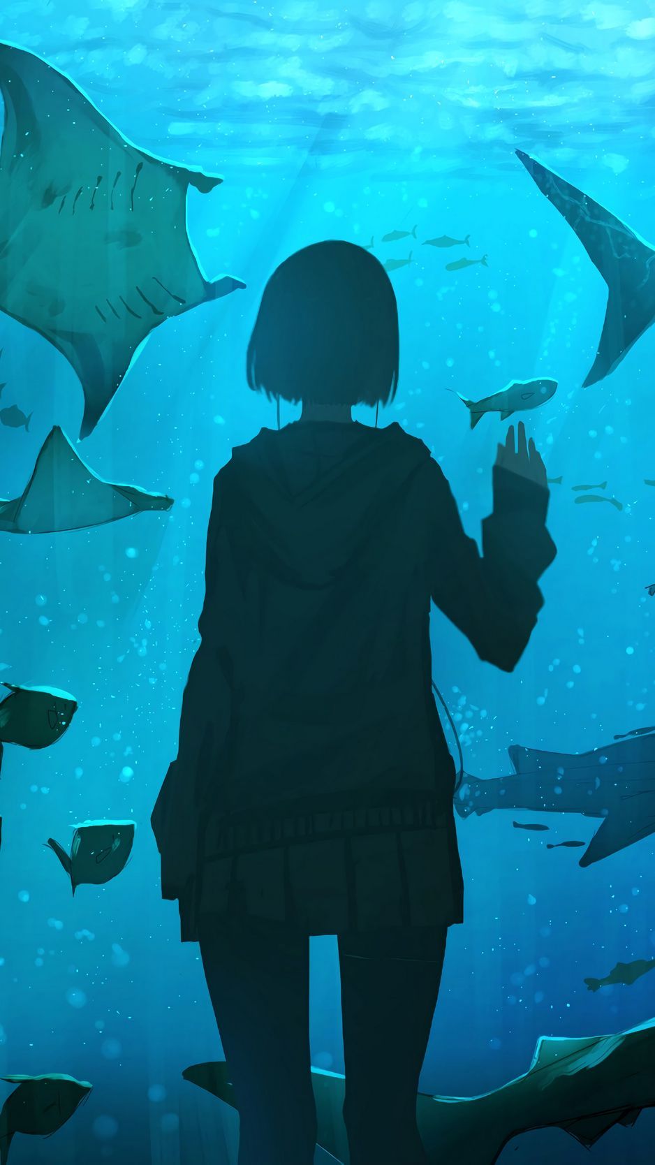 Aquarium, Silhouette, Mantarochen, Unterwasserwelt, Blau, Hintergrundbild fürs Handy