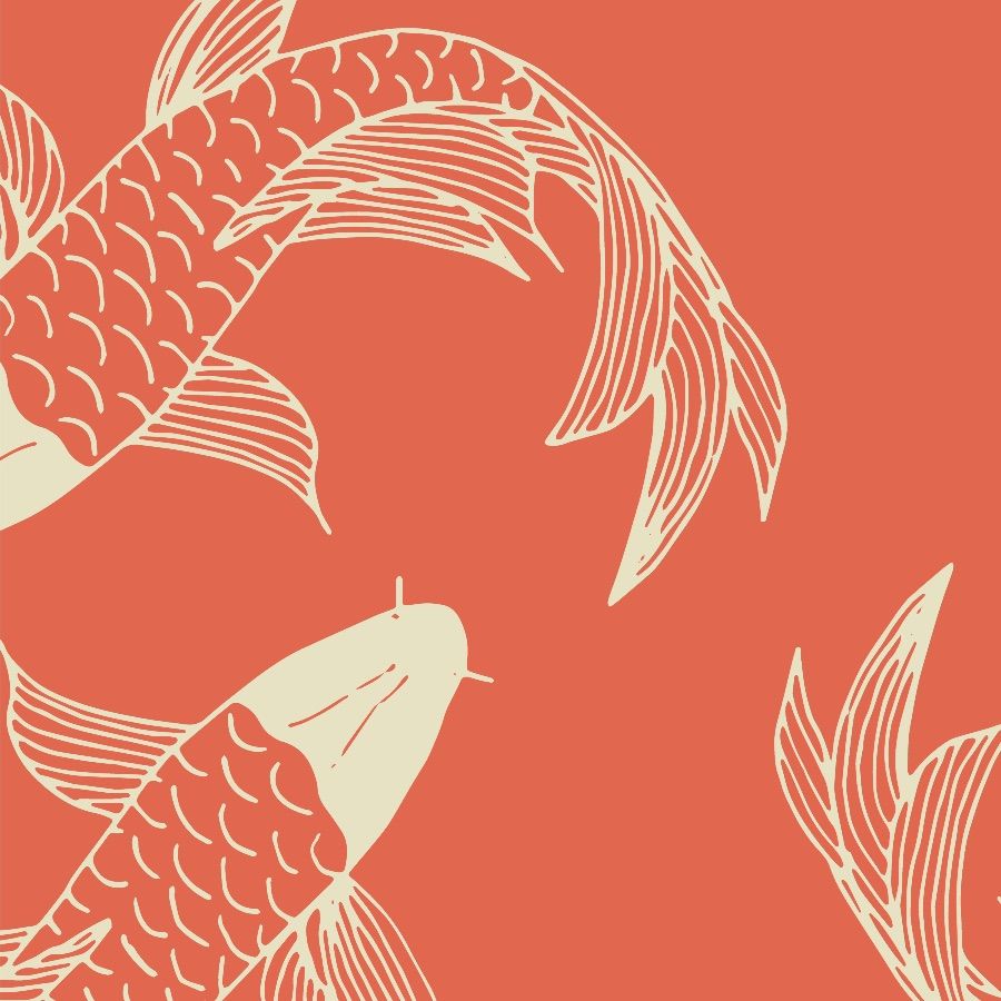 Koi, Linienzeichnung, Schuppenmuster, Orange Hintergrund, Wallpaper