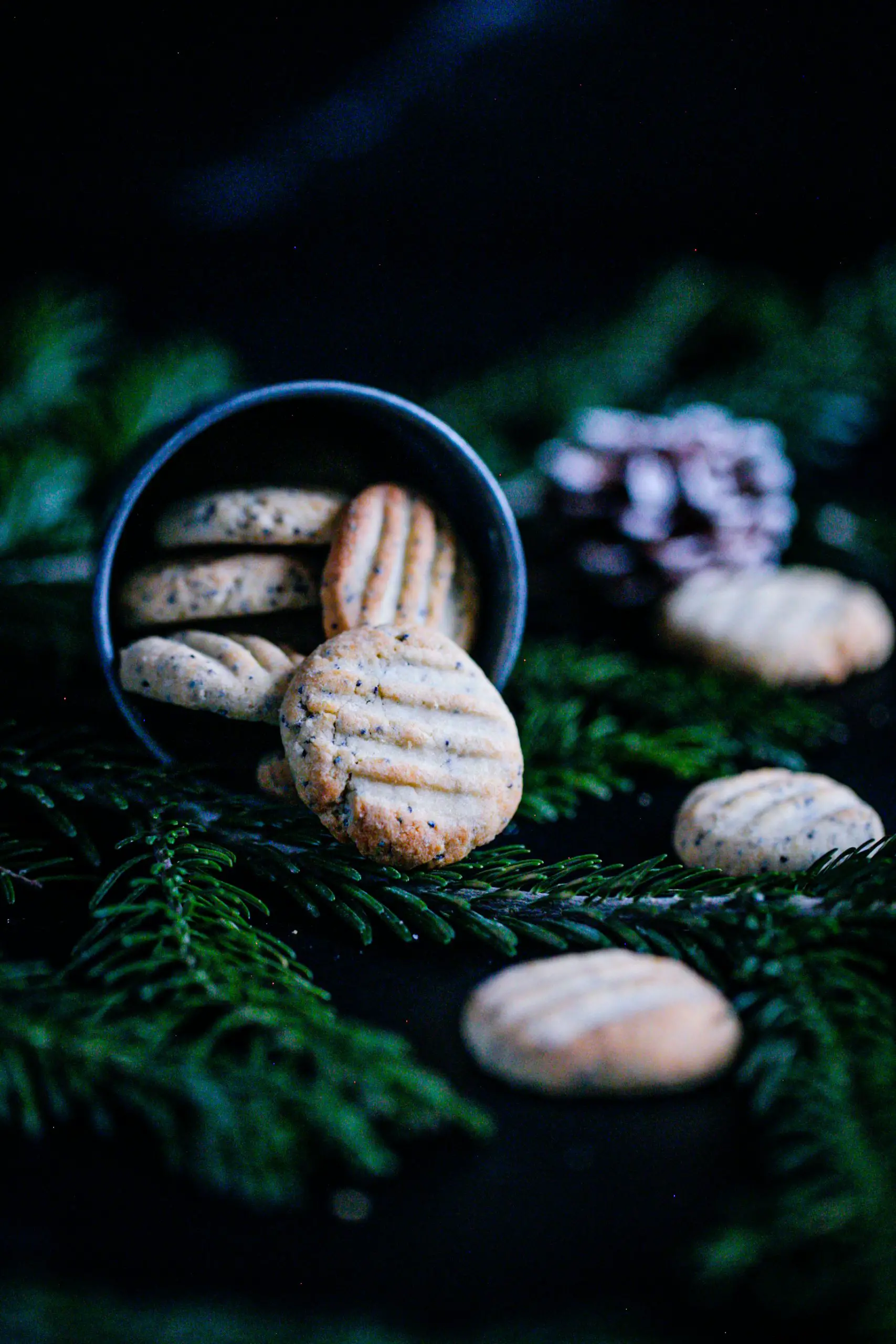 Kekse, Tannenzweige, Dunkel, Weihnachtsgebäck, QHD+, iPad-Hintergrundbild