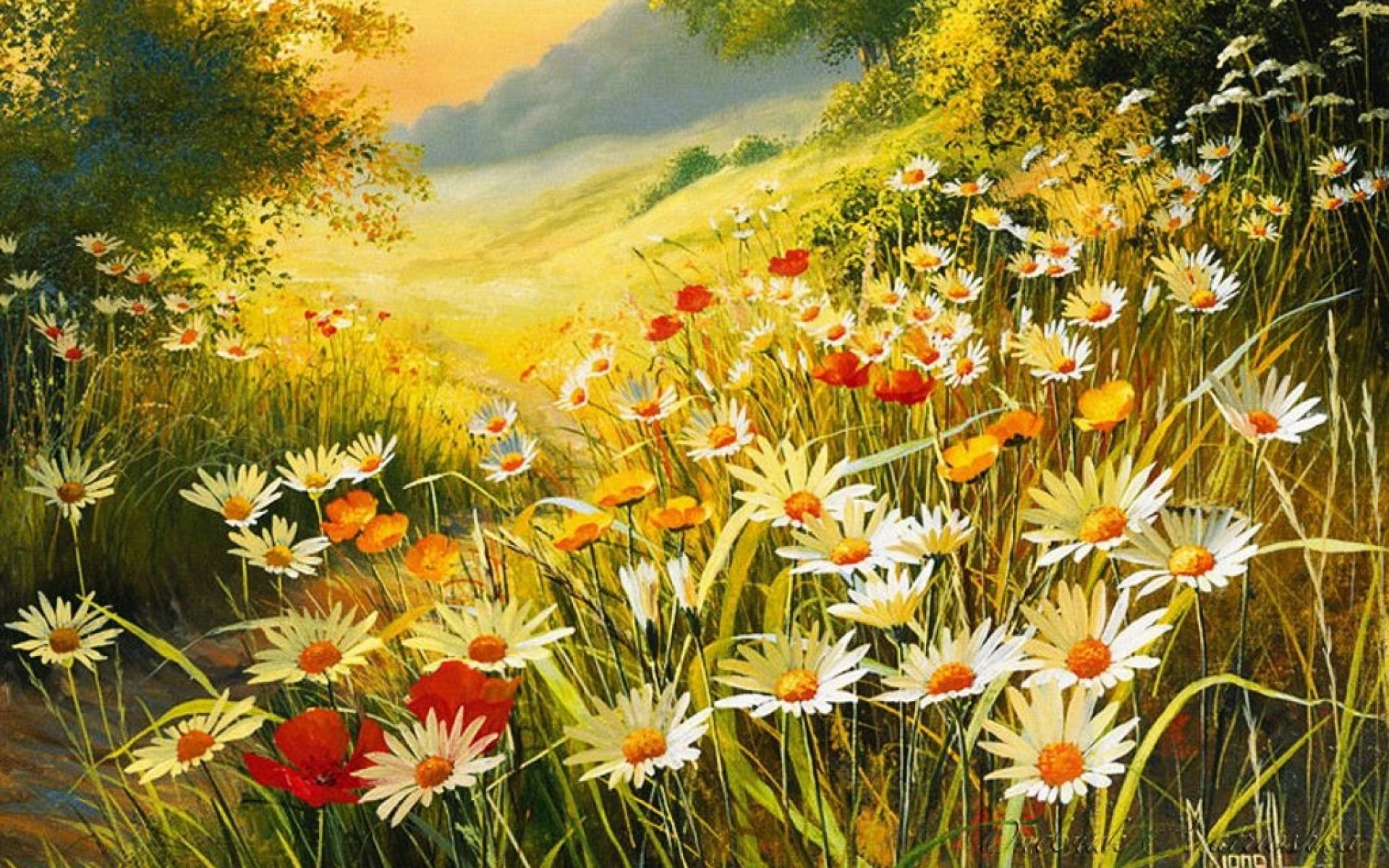 Margeriten, Mohn, Gemälde, Sonnenlicht, Hügel, 16:10, Full-HD-Hintergrundbild für den Desktop