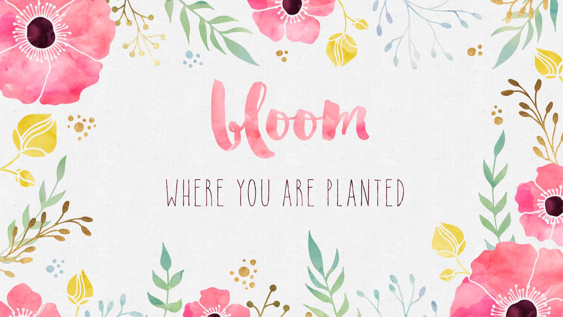 Bloom where you are planted, Spruch, Aquarell, Blumenrahmen, Typografie, Full HD, PC-Hintergrundbild