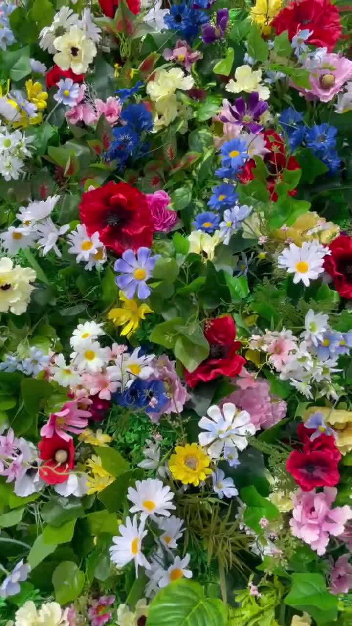 Bunte Blüten, Rosen, Kornblumen, Blumenwand, Leuchtende Farben, HD, Handy-Hintergrundbild