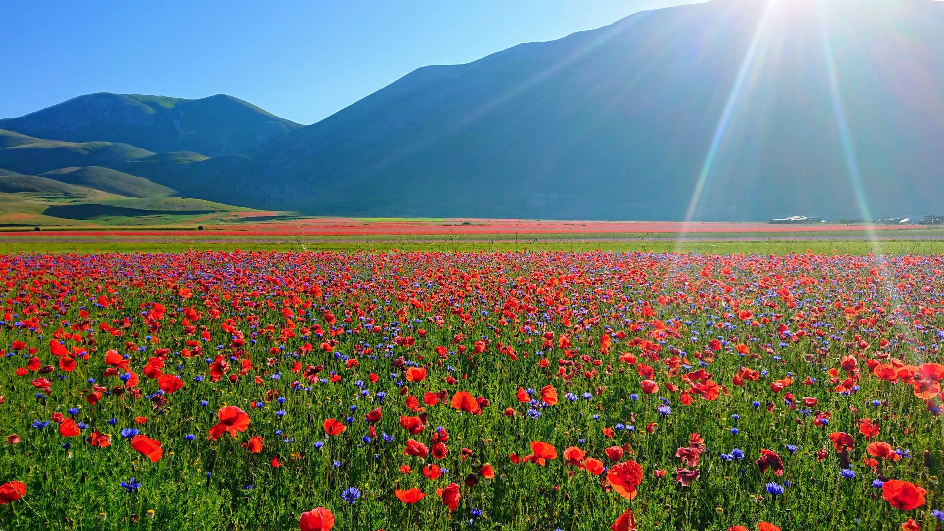 Castelluccio di Norcia, Piano Grande, Italien, Mohnfeld, Berge, Sonnenstrahlen, 1080p-Hintergrundbild