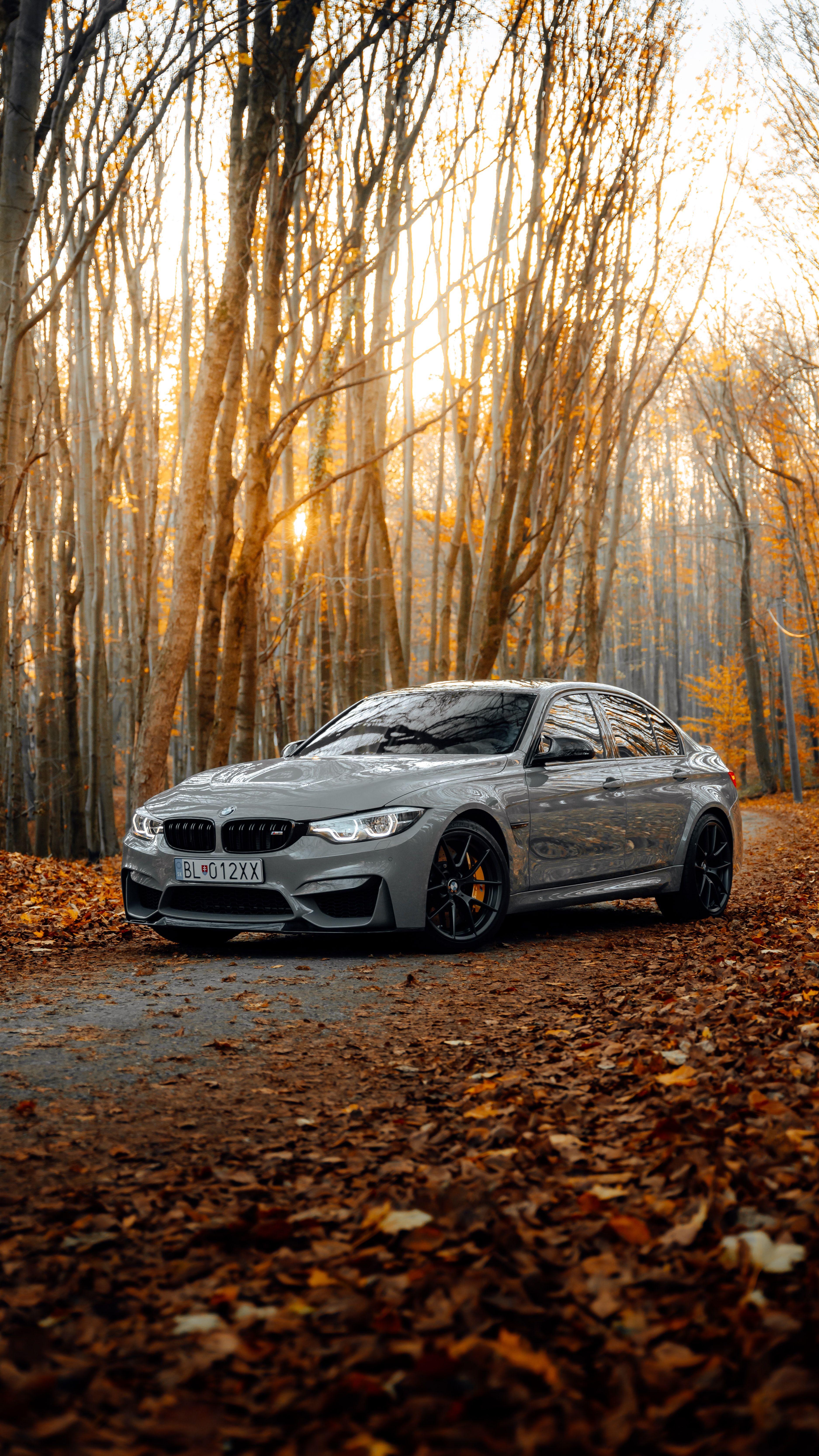 BMW M3, Limousine, Silberner Wagen, Herbstwald, Laub, Herbst, QHD+, iPhone-Hintergrundbild