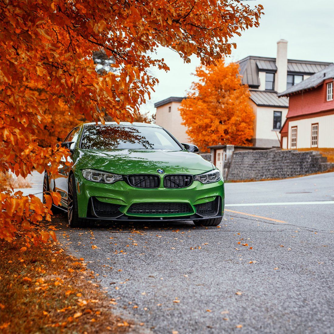 BMW M4, Grünes Coupé, Herbstlaub, Herbst, Straße, Hintergrundbild für iPad und Tablet