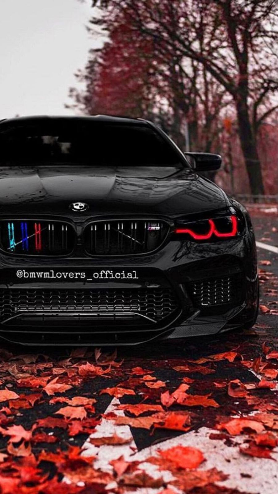BMW M5, Schwarze Limousine, Rotes Laub, Herbst, Wald, Hochformat, Hintergrundbild fürs Smartphone
