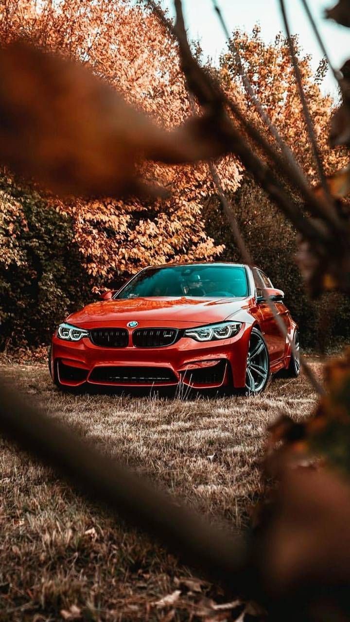 BMW M4, Rotes Coupé, Herbst, Wald, Laub, HD, Sperrbildschirm fürs iPhone
