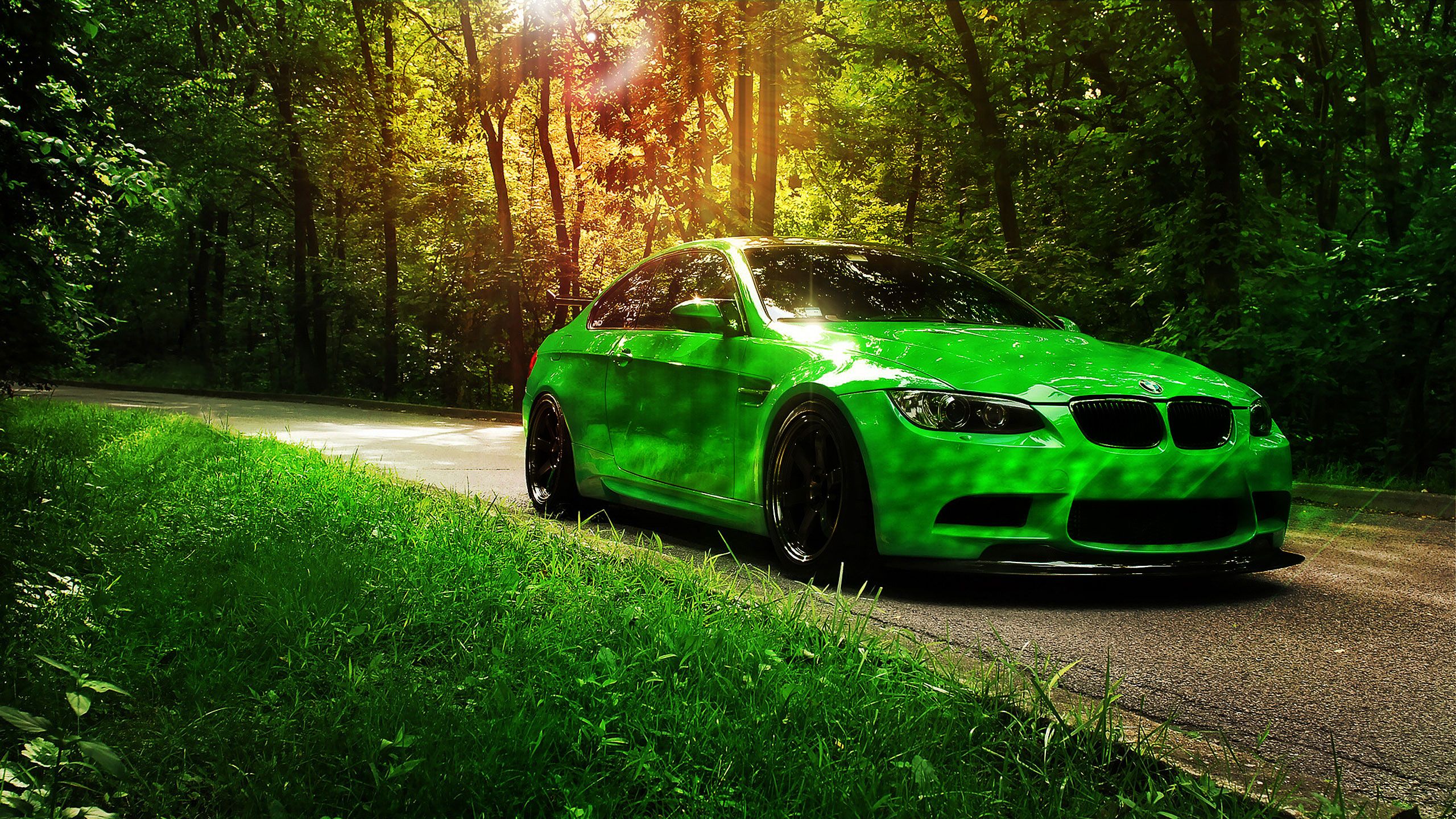 BMW M3 (E92), Grünes Auto, Wald, Sonnenlicht, Landstraße, 2K, Laptop-Hintergrundbild
