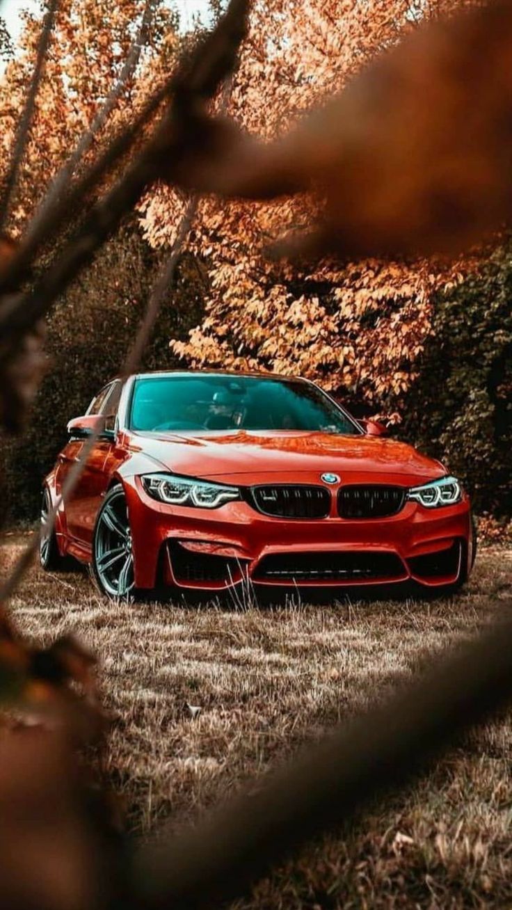 BMW M4, Rotes Auto, Herbst, Wald, Frontansicht, HD, Handy-Hintergrund im Hochformat