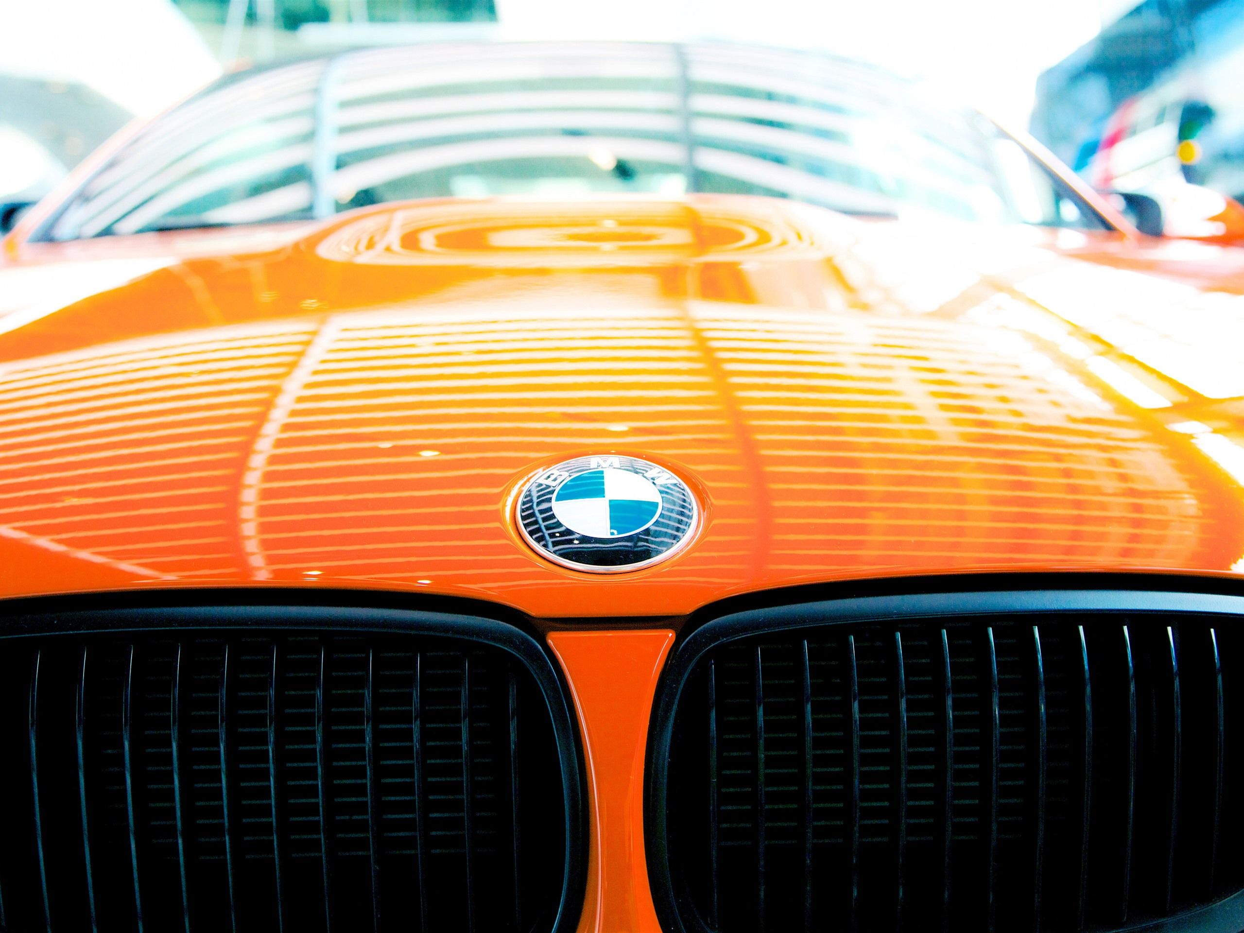 BMW-Logo, Oranges Auto, Motorhaube, Niere, Nahaufnahme, 2K, iPad-Hintergrundbild